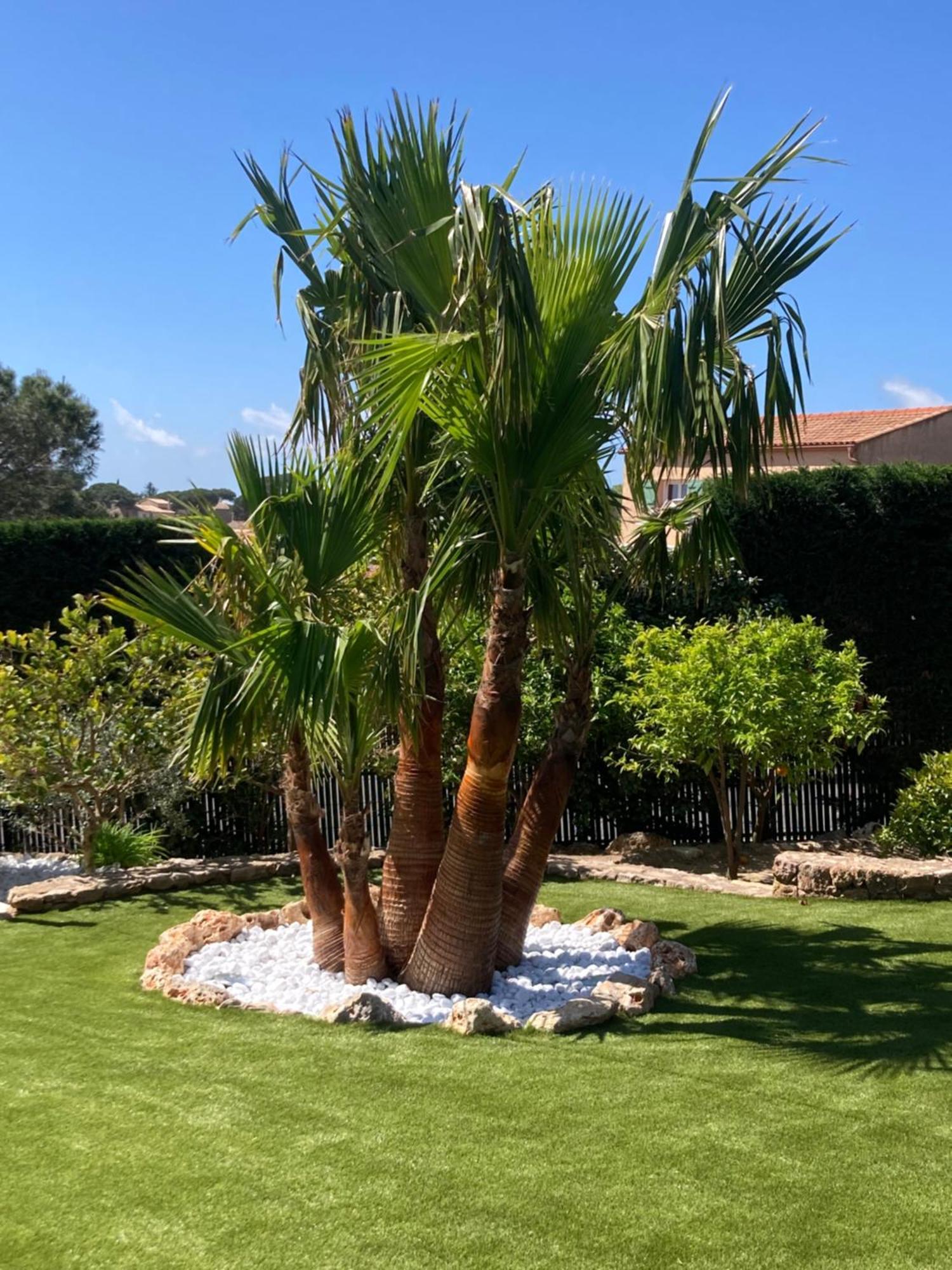 Riposa Villa Fréjus