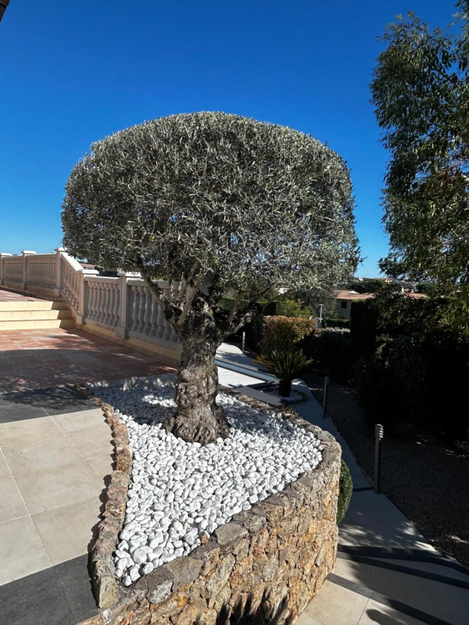 Riposa Villa *